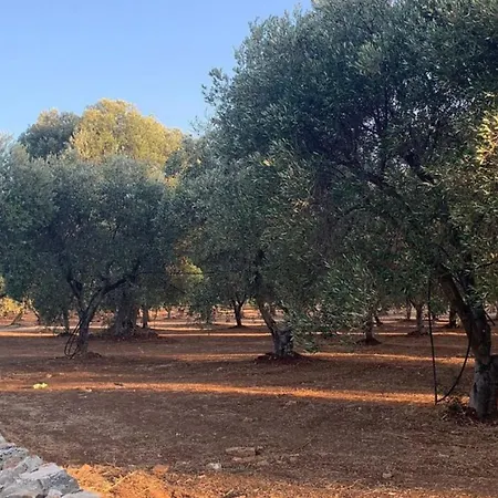 Masseria La Grave 奥斯图尼