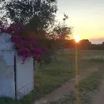 Masseria La Grave Κατάλυμα σε φάρμα