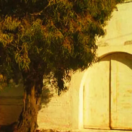 Masseria La Grave 팜스테이