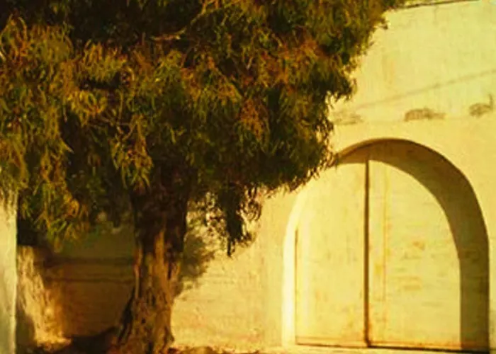 Masseria La Grave 팜스테이